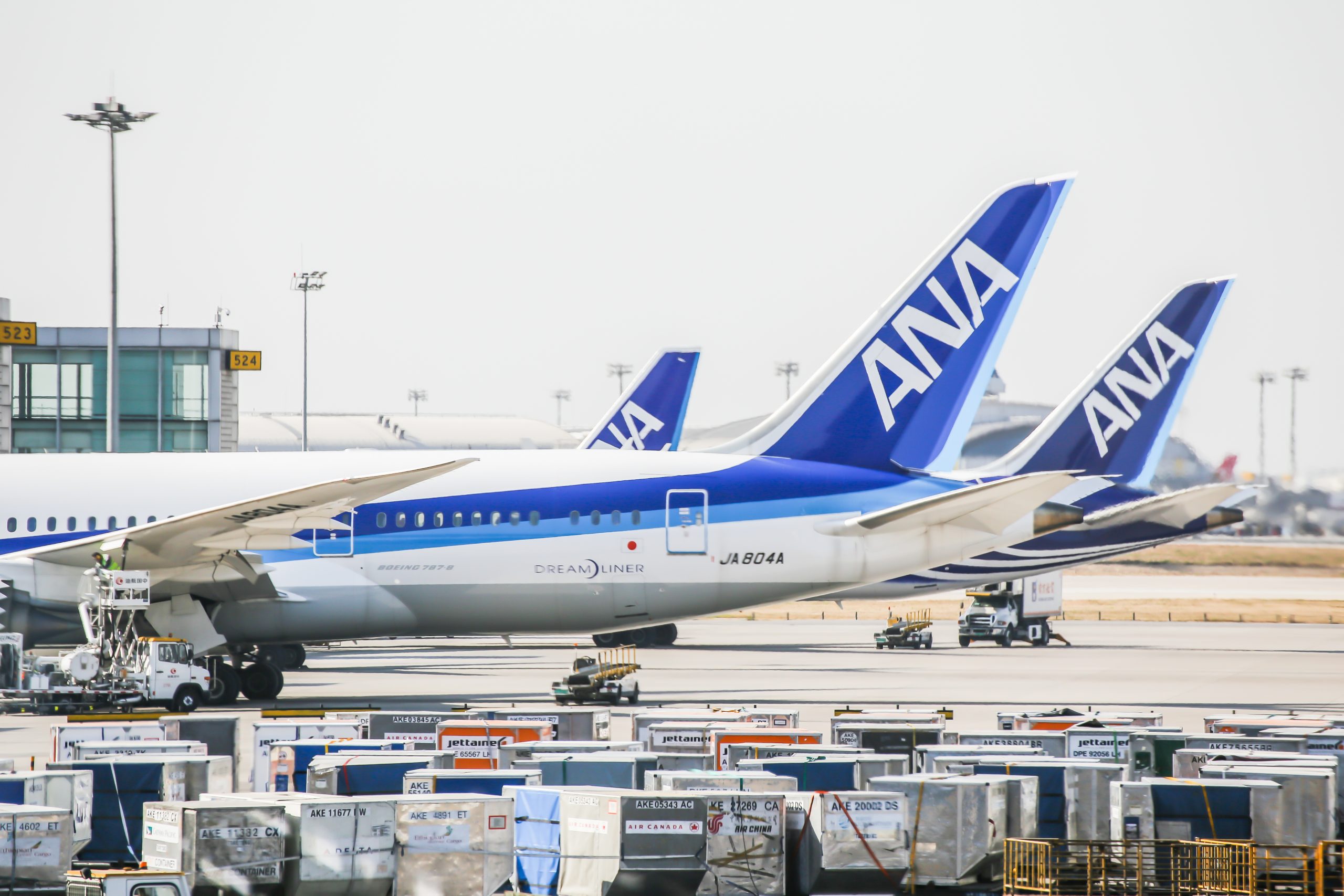 Japan’s ANA to slash flights to Beijing from Tokyo as coronavirus ...