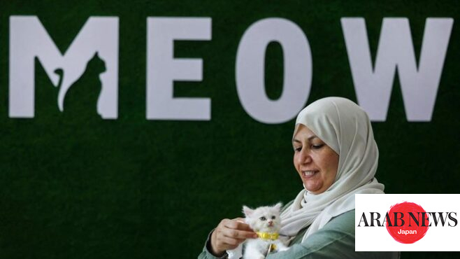 Cat cafe brings pawsitivity to war-scarred Gaza｜Arab News Japan