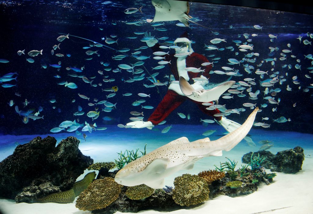 サブマリンサンタが東京の水族館へお祭り気分を運ぶ Arab News
